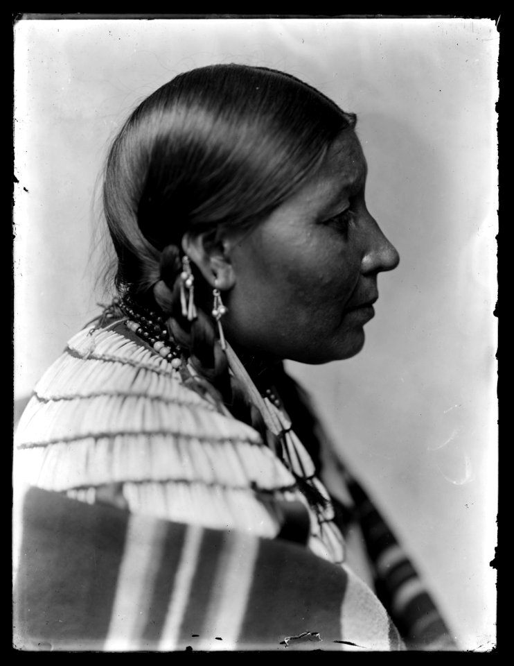 Wife of American Horse, American Indian LCCN2006679584