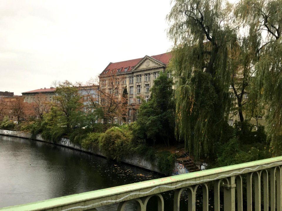 WikidataCon 2019 iNaturalist 3