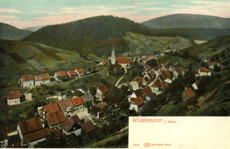 Wildemann, Niedersachsen - Stadtansicht (Zeno Ansichtskarten)