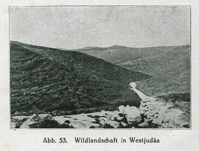 Wildlandschaft in Westjudäa - Banse Ewald - 1919