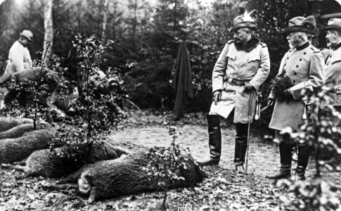 Wilhelm II. Sauenjagd