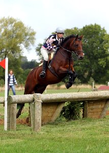 Eventing horse jumping