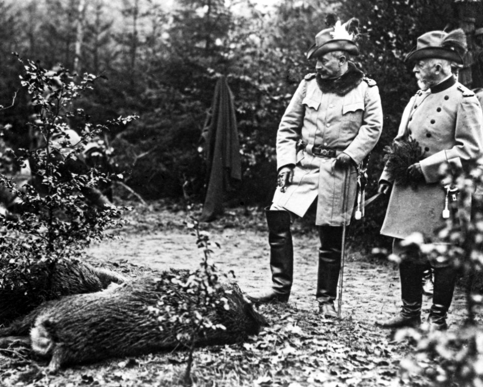 Wilhelm II. Sauenjagd cropped