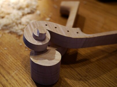 Woods close up violin