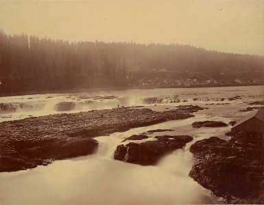 Willamette Falls 1867