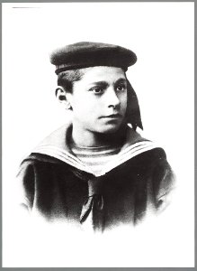 Willem Hendrik Meijer