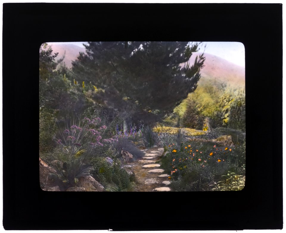 William Alexander Spinks, Jr., ranch, Foothill Boulevard, Duarte, California. Pathway LCCN2007684877