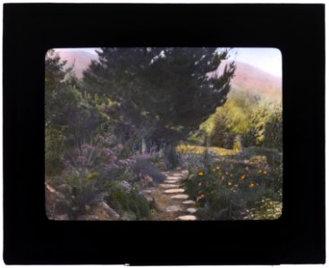 William Alexander Spinks, Jr., ranch, Foothill Boulevard, Duarte, California. Pathway LCCN2007684877