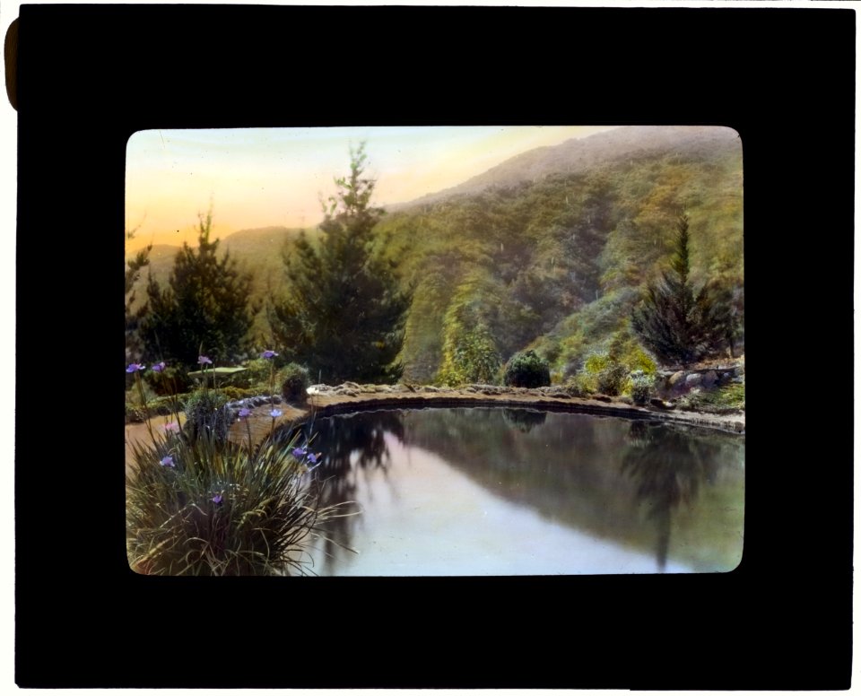 William Alexander Spinks, Jr., ranch, Foothill Boulevard, Duarte, California. Fish pond LCCN2008675645