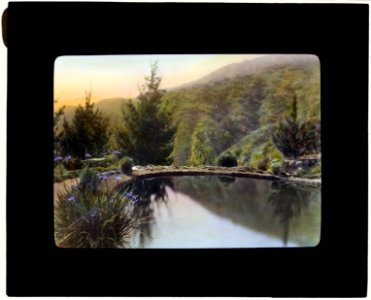 William Alexander Spinks, Jr., ranch, Foothill Boulevard, Duarte, California. Fish pond LCCN2008675645
