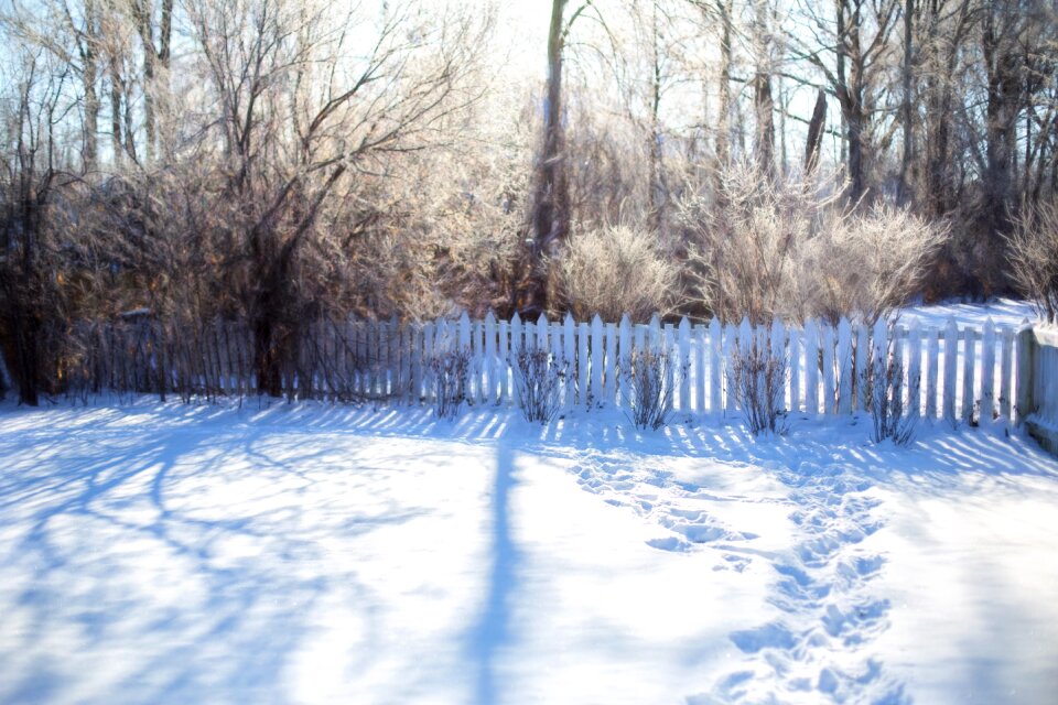 Frost frozen footprints in snow photo