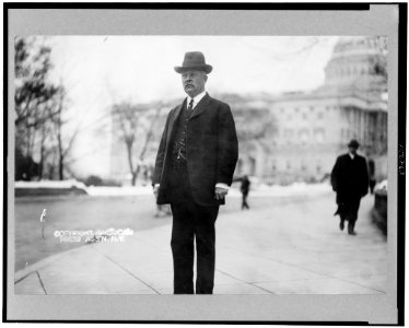 William Atkinson Jones, congressman from Virginia, full-length portrait, standing, facing slightly left, on U.S. Capitol grounds LCCN91729504