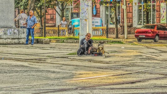 The beggar dogs rails photo