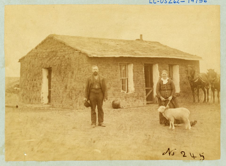 William Couhig, Dale (Dale Valley), Custer County, Nebraska LCCN2005693388