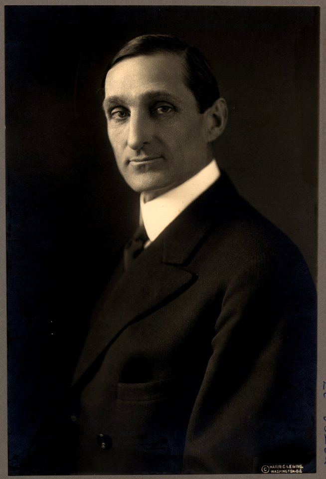 William G. McAdoo, half-length portrait, facing slightly left LCCN00652553