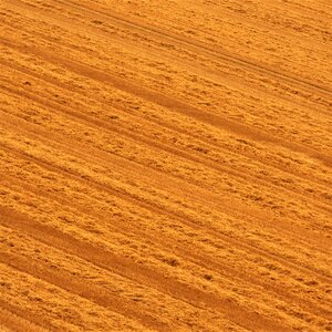 Agriculture harvested summer