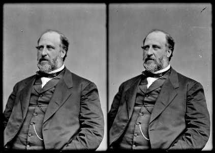 William M. (Boss) Tweed, N.Y - NARA - 526217