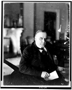 William McKinley, half-length portrait, seated at desk, facing right LCCN91783827 photo