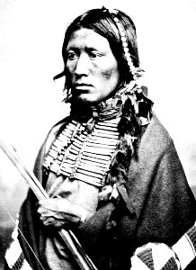 William S. Soule - Pacers nephew