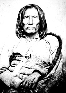 William S. Soule - Satank