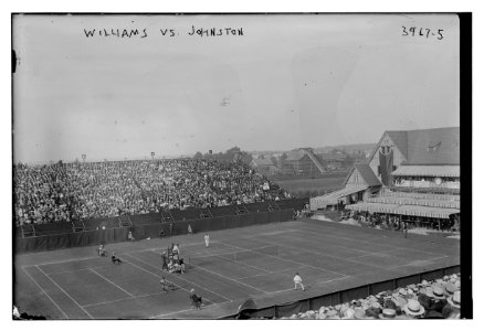 Williams vs Johnston (tennis) LCCN2014702650