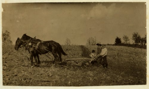 Willie Nall, 11 years old; Raymond Jones, 10 years old; Denver Jones, 5 years old; plowing on farm. They had just finished a job of hauling. See report. LOC nclc.00399