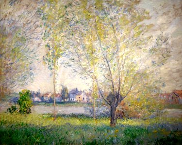 Willows of Vétheuil