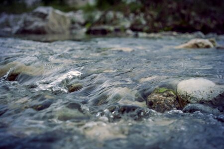 Bach river water photo