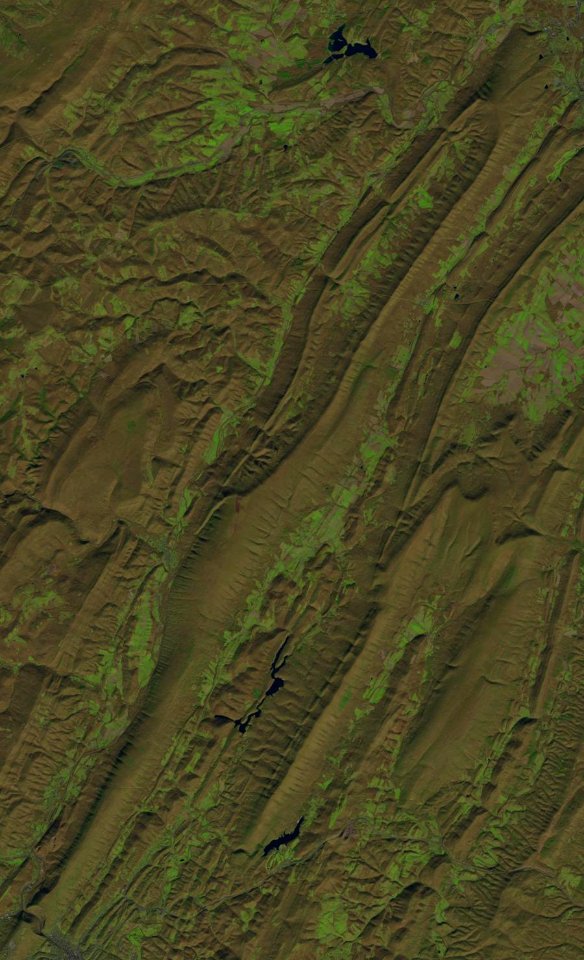 Wills Mountain LC08 L1TP 016032 20161114 20170219 01 T1