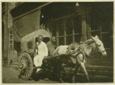 Wilson - Voyage autour du monde, 1923 (page 215b crop)