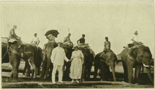 Wilson - Voyage autour du monde, 1923 (page 281 crop) photo