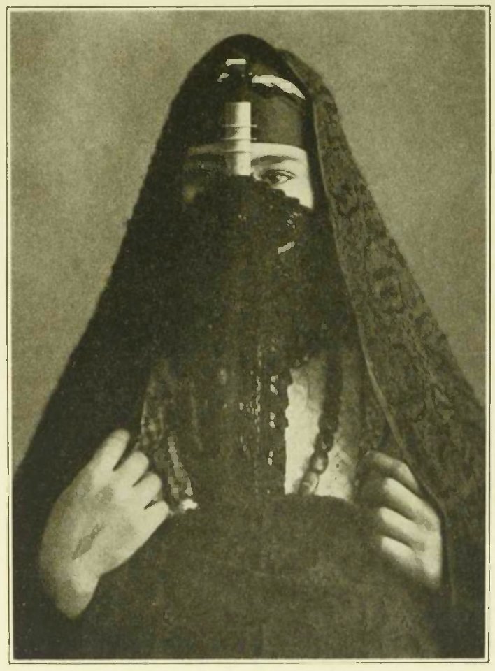 Wilson - Voyage autour du monde, 1923 (page 393b crop)