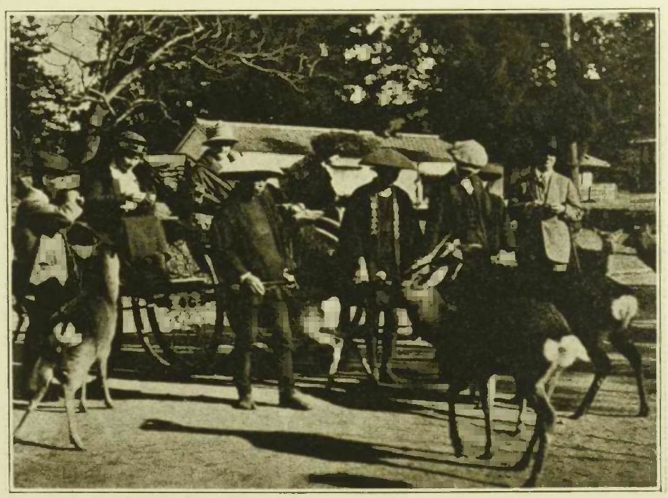 Wilson - Voyage autour du monde, 1923 (page 101b crop)