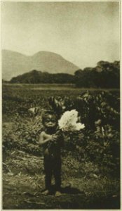 Wilson - Voyage autour du monde, 1923 (page 246 crop) photo