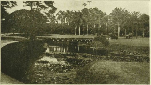 Wilson - Voyage autour du monde, 1923 (page 270 crop)