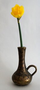 Vase close up flower
