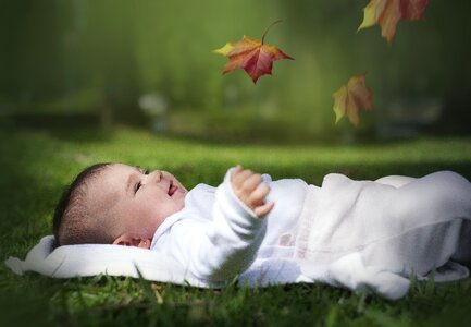 Purity ground dreaming