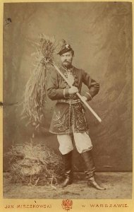 Wincenty Colonna Walewski - portret