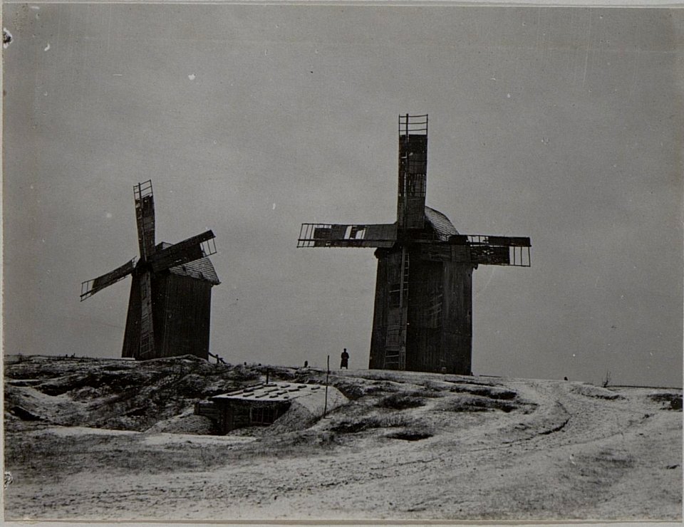 Windmühlen in Kruchinieczy (BildID 15456871)