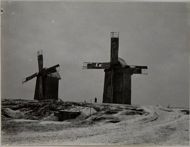 Windmühlen in Kruchinieczy (BildID 15456871)