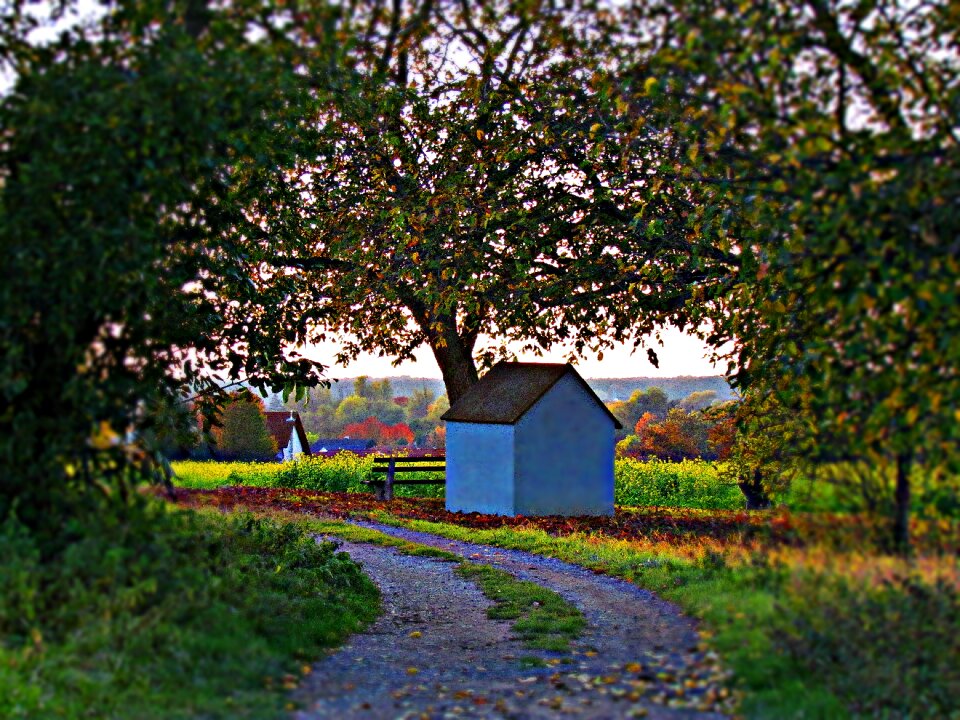 Chapel the path landscape