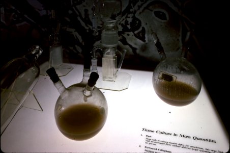 Windows of NIH- tissue culture exhibit