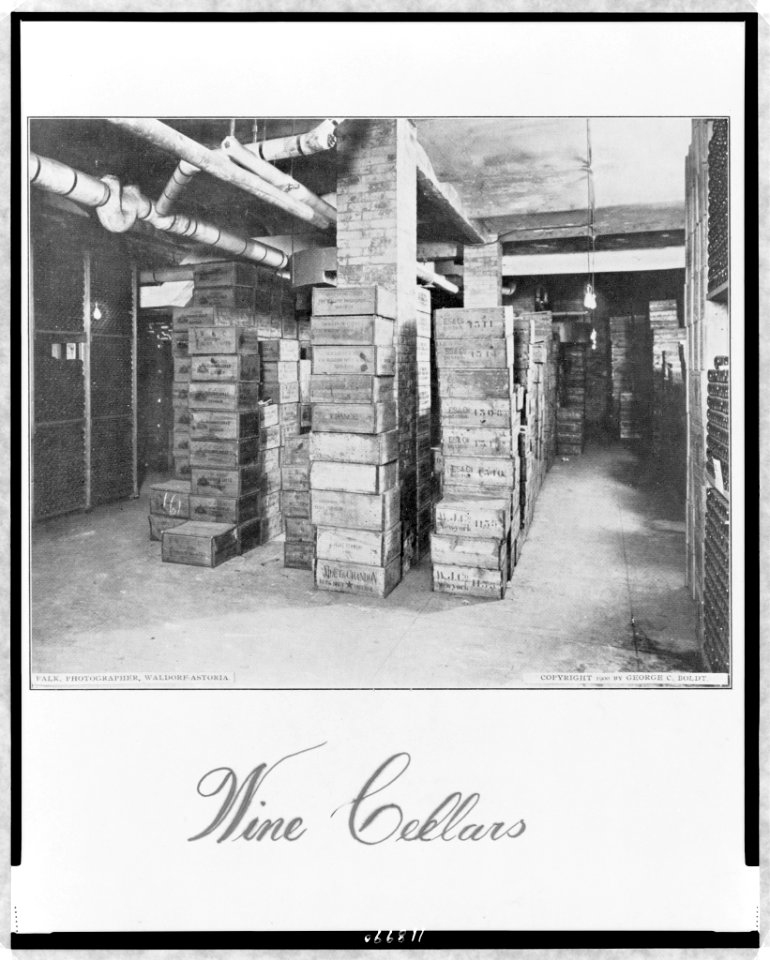 Wine cellars - Falk, photographer, Waldorf-Astoria. LCCN97513642