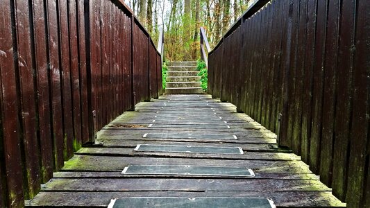 River wooden bridge brook