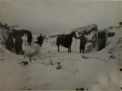 Winter Pferdestallungen im Winter im Felde bei Podkamien. Aufgenommen am 14. Jänner 1916. (BildID 15453957)