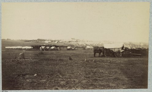 Winter quarters in Army of Potomac near Brandy Station, Va., 1864 LCCN2012649007