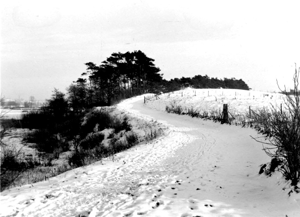 Winterlandschaft am Russee (Kiel 73.305)