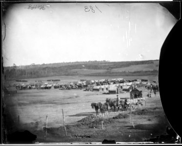 Winter quarters of Cavalry, at Fair Oaks - NARA - 524602