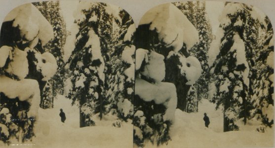 Winter scene, Glacier, British Columbia (HS85-10-19334)