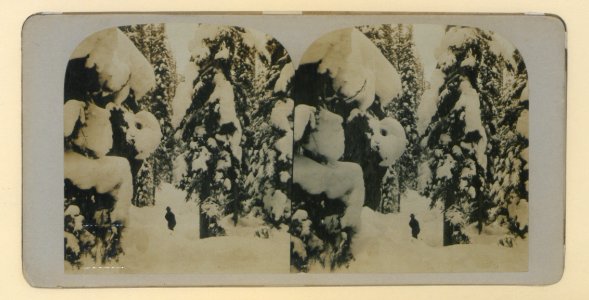 Winter scene, Glacier, British Columbia (HS85-10-19334) original